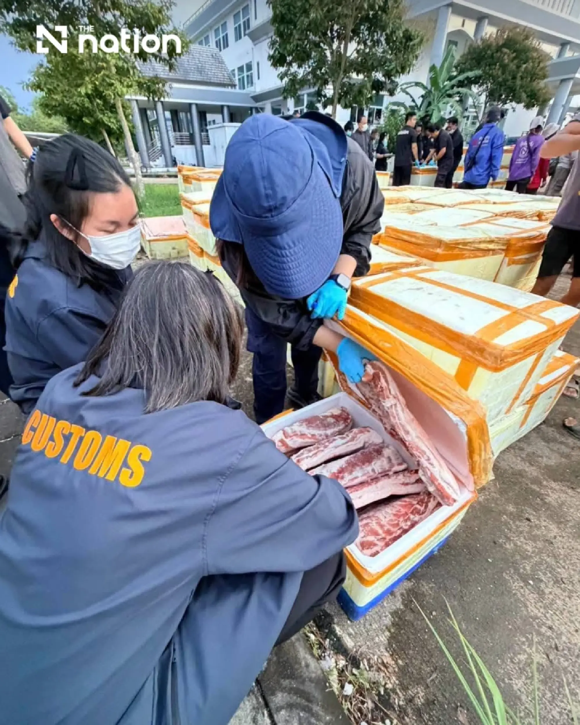 Bea Cukai Thailand Sita 16,5 Ton Daging Babi Ilegal Senilai Rp818 Juta dari China